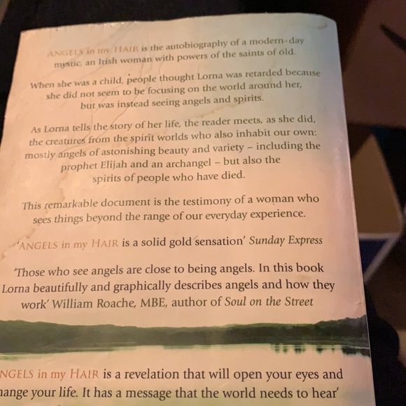 Angels in my Hair | Lorna Byrne - Picture 7 of 7